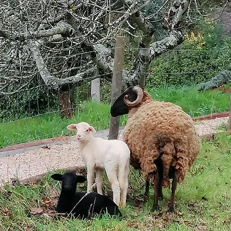 Adore Portugal Natureza&vista De Serra Lodge *