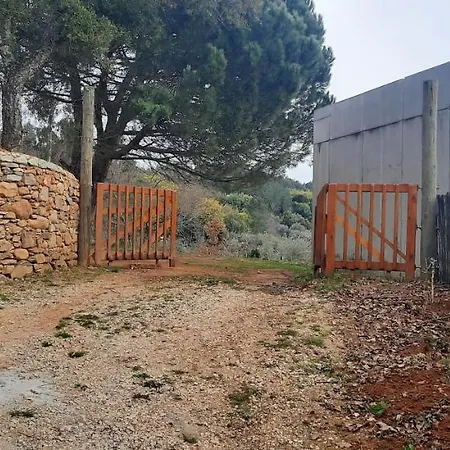 Adore Portugal Natureza & Vista De Serra Orman Evi Lousã