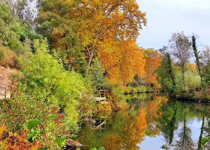 Adore Portugal Natureza & Vista De Serra