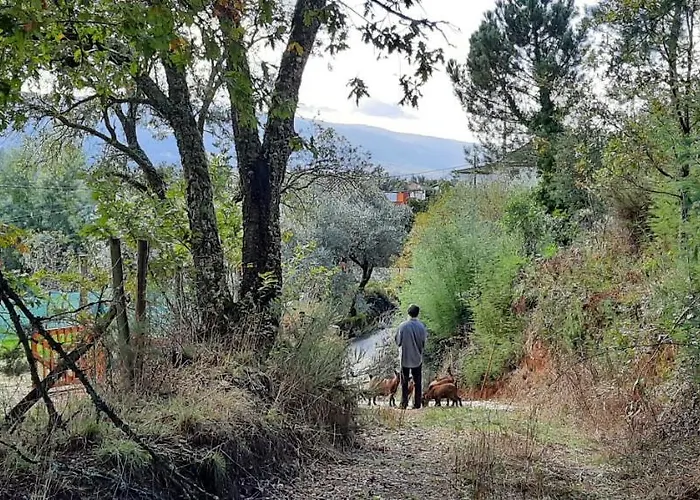 Adore Portugal Natureza & Vista De Serra *